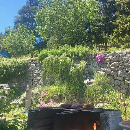 Bowie à La Roselande *